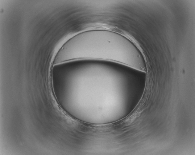 X0000077281488200610200731