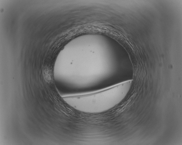 X0000077281490200610200731