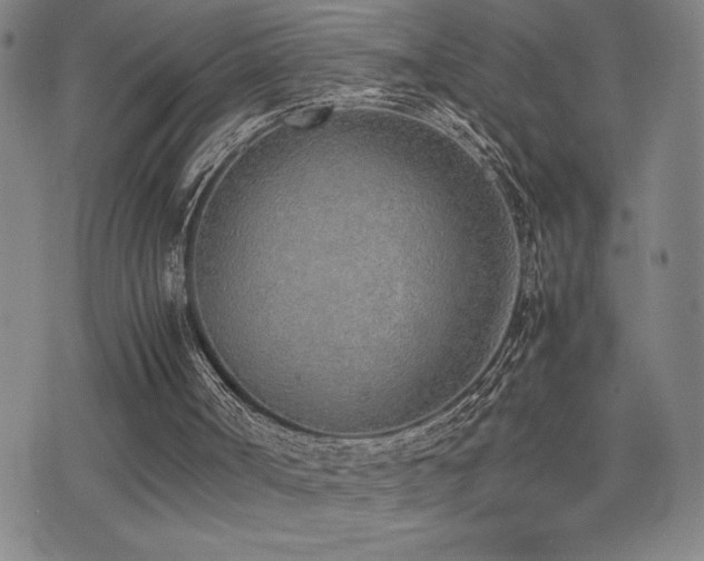 X0000077280002200610201120