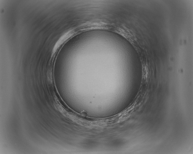 X0000077280004200610201120