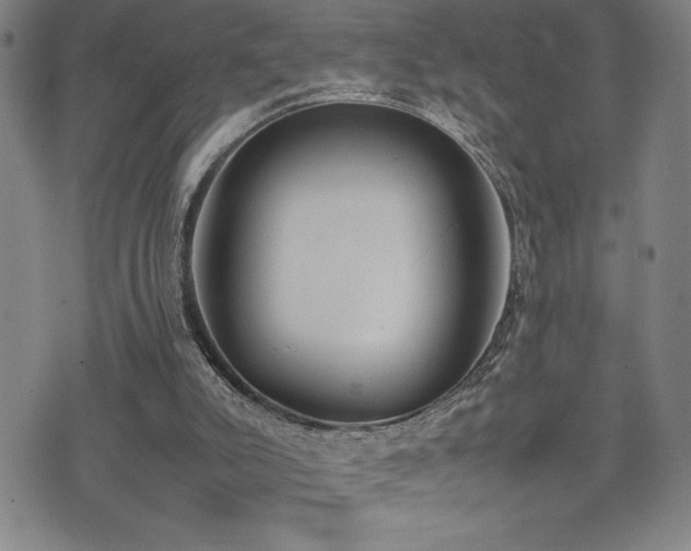 X0000077280007200610201120