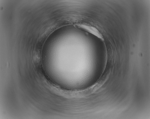 X0000077280040200610201120