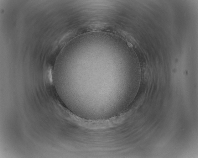 X0000077280042200610201120