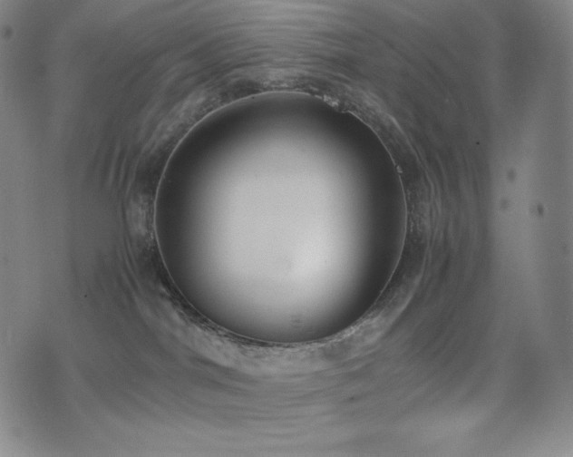 X0000077280044200610201119