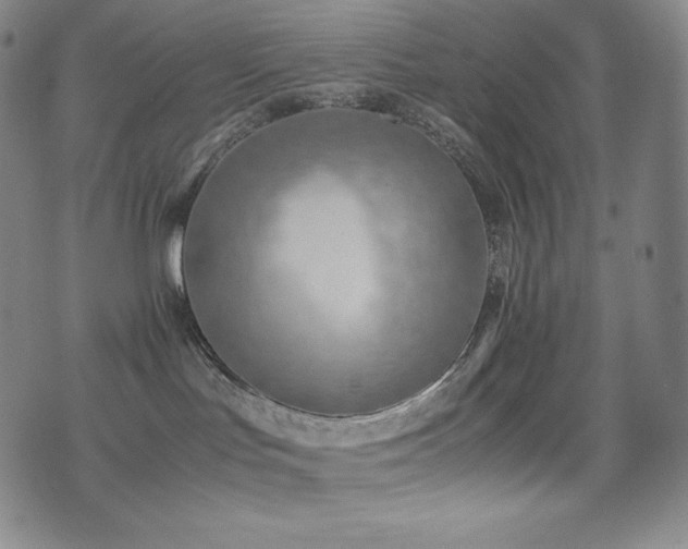 X0000077280047200610201119