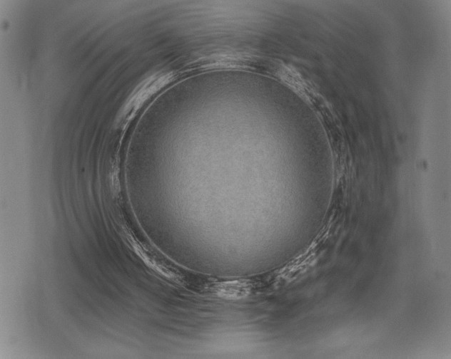 X0000077280050200610201119