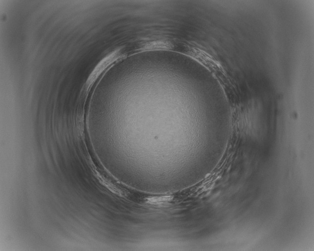 X0000077280051200610201119