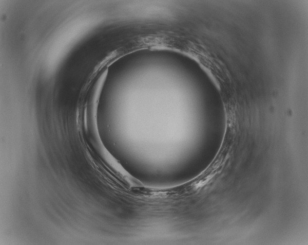 X0000077280052200610201119