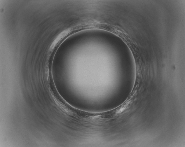 X0000077280054200610201119