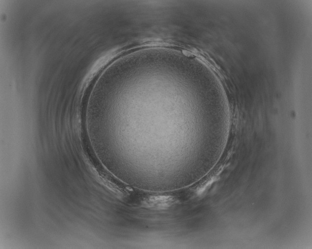 X0000077280055200610201119