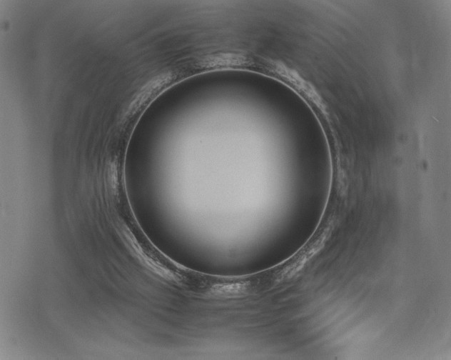 X0000077280057200610201119