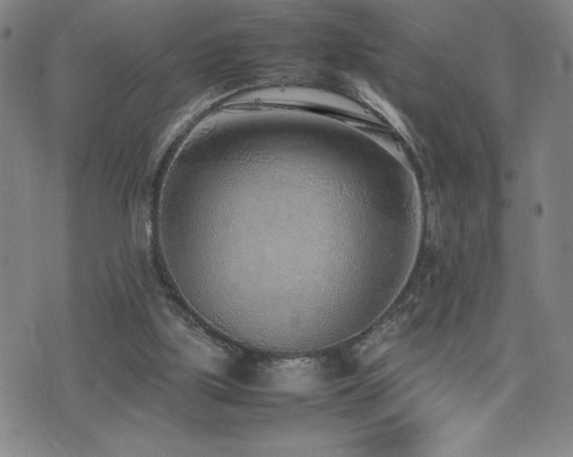 X0000077280059200610201119