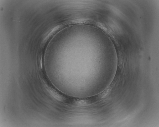 X0000077280062200610201119