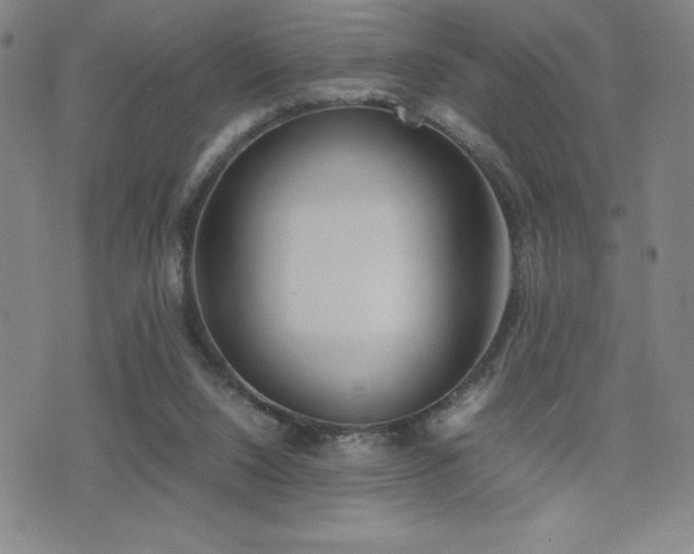 X0000077280064200610201119