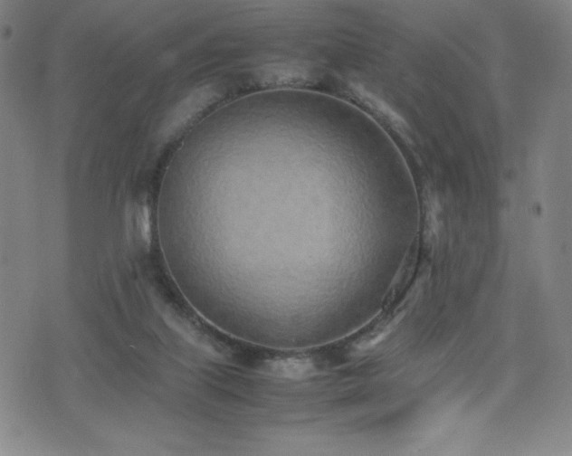 X0000077280067200610201119