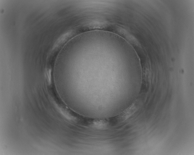X0000077280070200610201119
