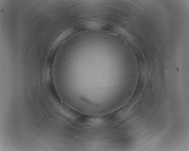 X0000077280071200610201119