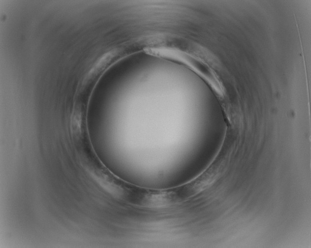 X0000077280072200610201119