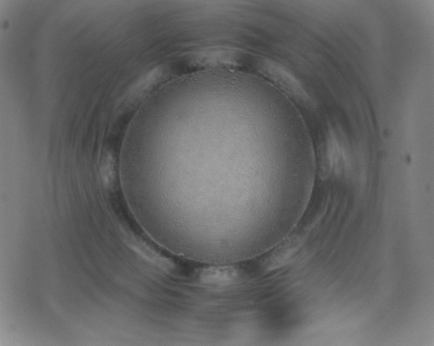 X0000077280077200610201119