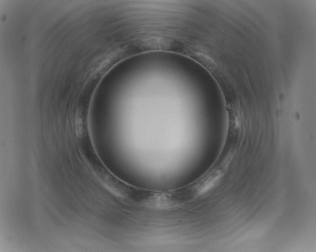 X0000077280080200610201119