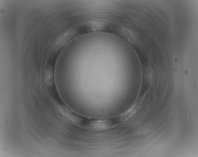 X0000077280082200610201119