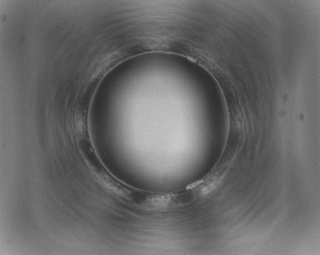X0000077280084200610201119