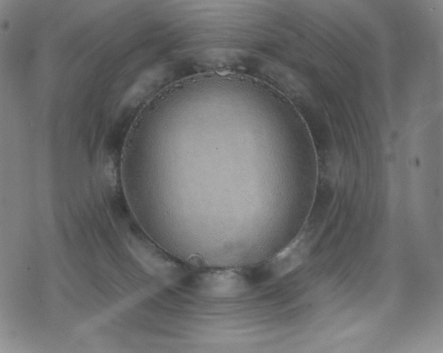 X0000077280086200610201119