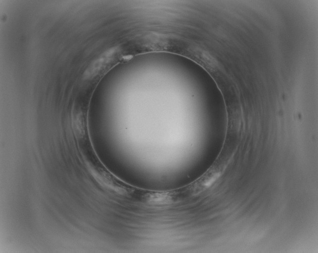 X0000077280088200610201119