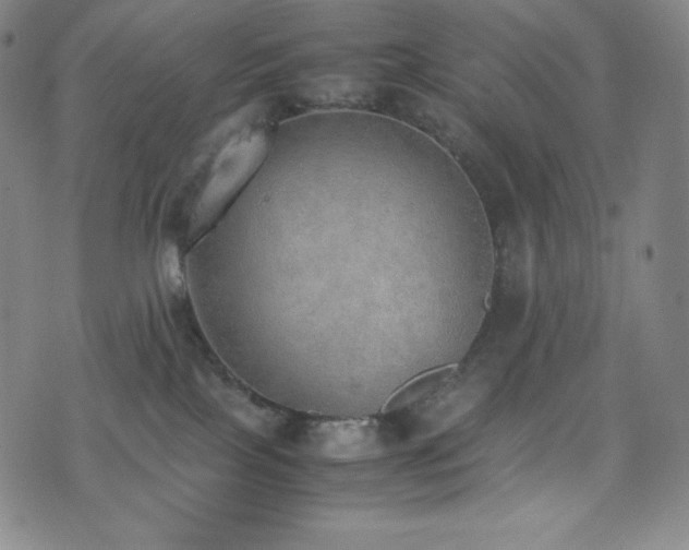 X0000077280089200610201119