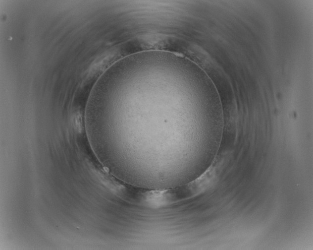 X0000077280090200610201119