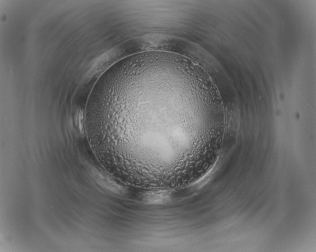 X0000077280094200610201119