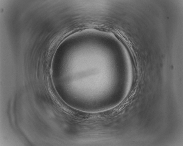 X0000077280097200610201119