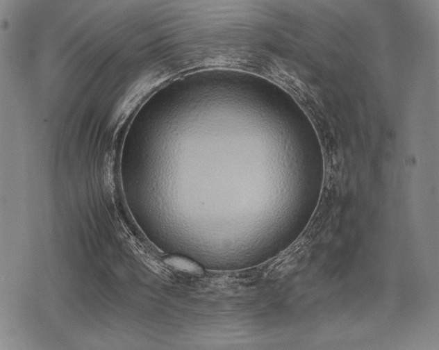 X0000077280098200610201119
