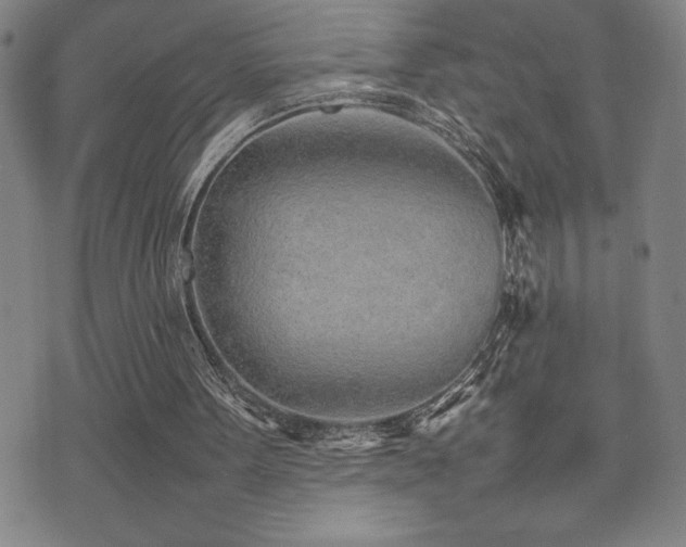X0000077280099200610201119