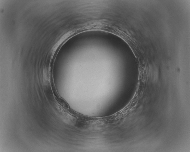 X0000077280100200610201119