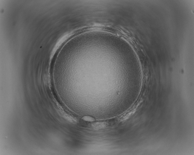 X0000077280102200610201119