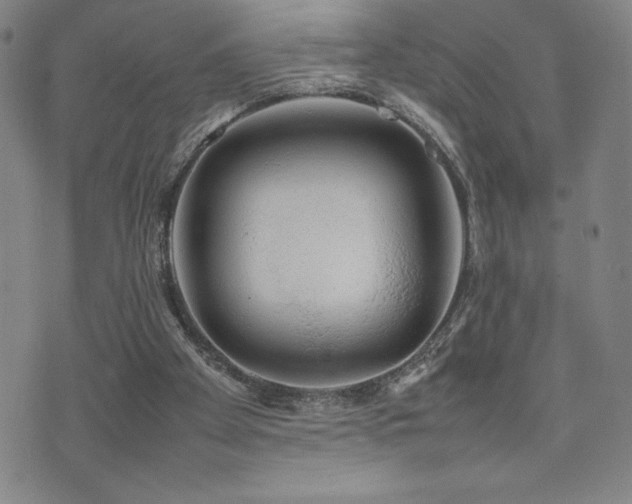X0000077280105200610201119