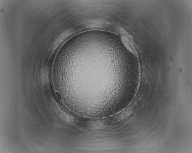 X0000077280106200610201118
