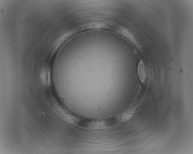 X0000077280110200610201118
