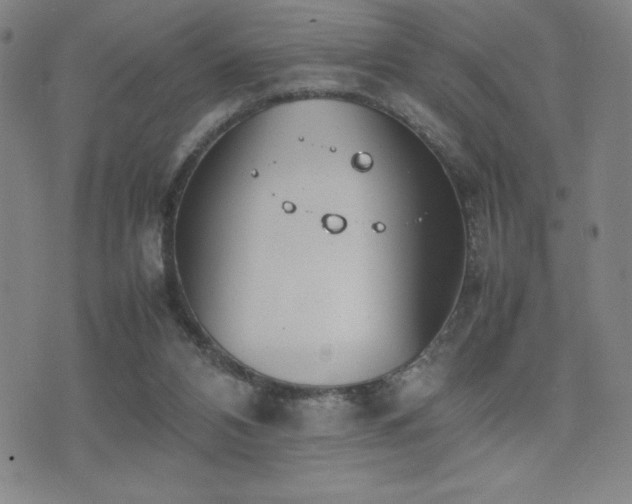 X0000077280112200610201118