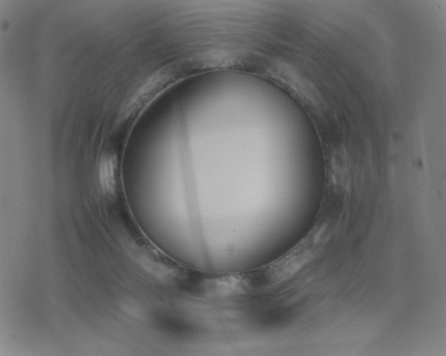 X0000077280118200610201118