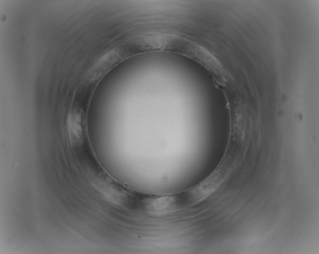 X0000077280122200610201118