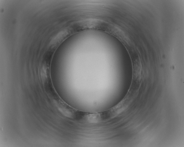X0000077280126200610201118