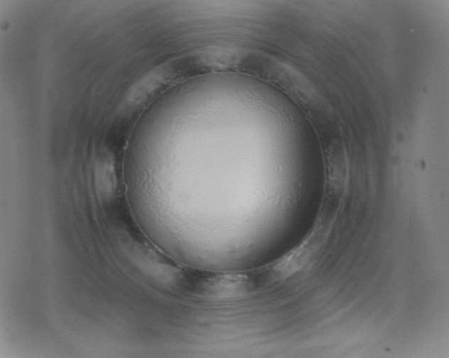 X0000077280128200610201118