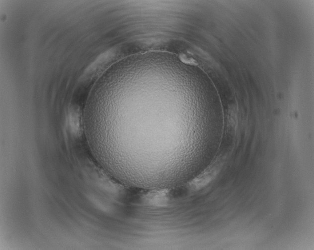 X0000077280138200610201118