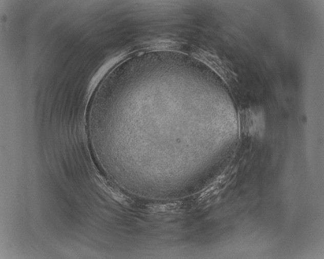 X0000077280147200610201117