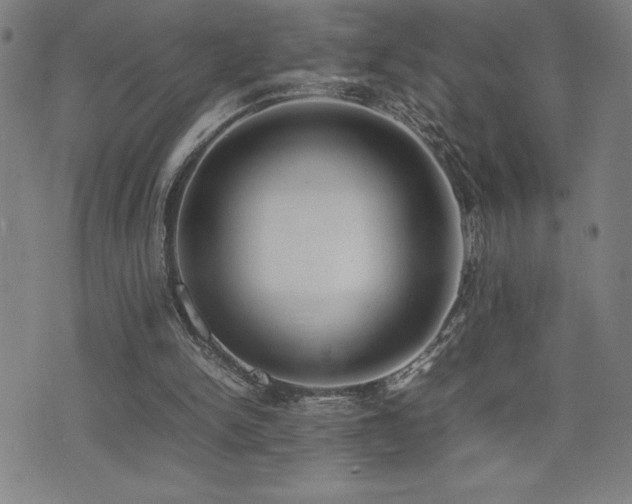 X0000077280150200610201117
