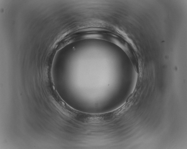 X0000077280154200610201117