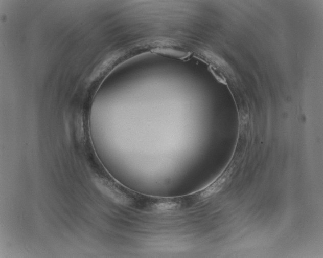 X0000077280158200610201117