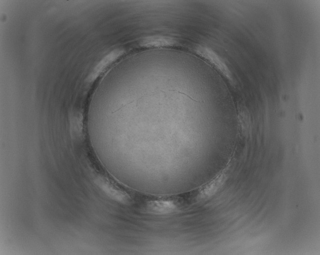 X0000077280159200610201117